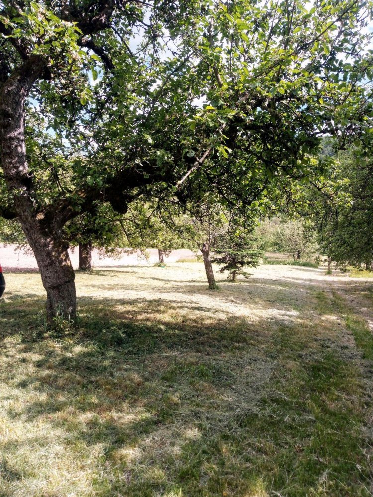  قطعة أرض في Wurzburg, Germany رقم 225311