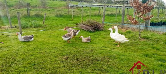 Дом с 3 спальнями в Вуксе, Франция № 62525 30