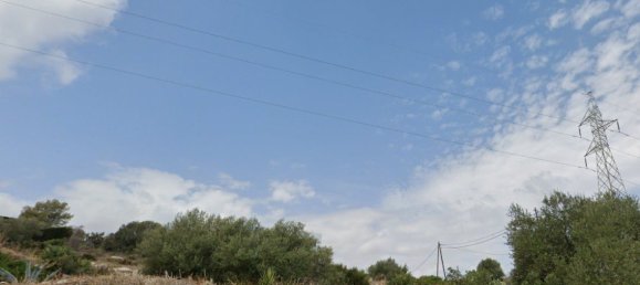 435m² Land in Castellon, Spain No. 172767 4