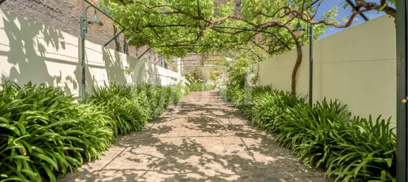 5 غرف نوم منزل في Porto da Cruz, Portugal رقم 141972 29