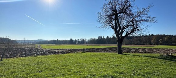  Land in Stainz, Austria No. 128113 2