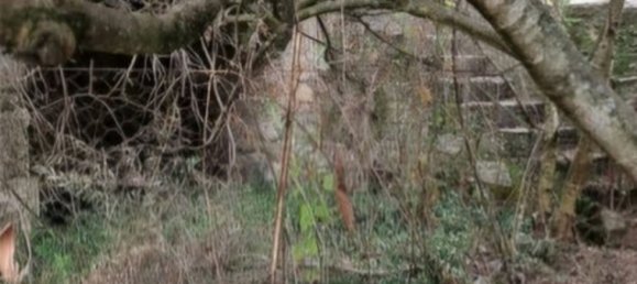 Дом с 4 спальнями в Траванка де Лагуш, Португалия № 164604 7