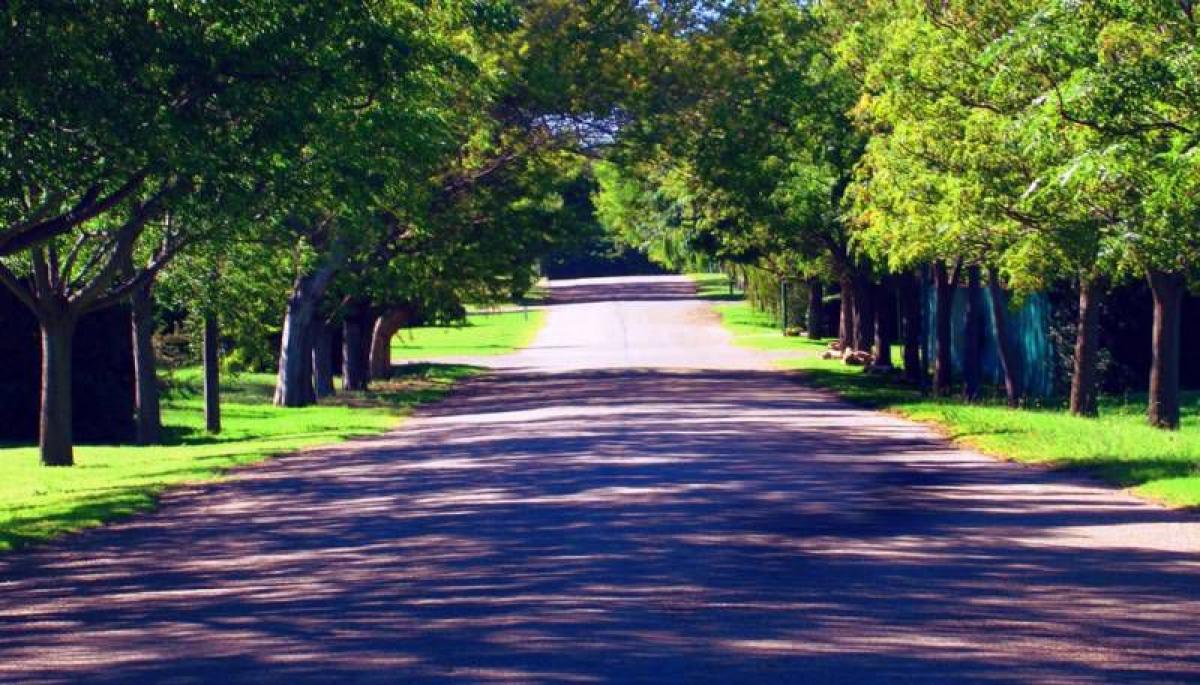  Land in Mar del Plata, Argentina No. 120204