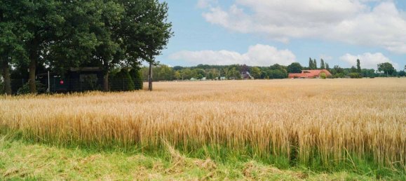 4 غرف نوم بناية في Diepholz, Germany رقم 273491 23