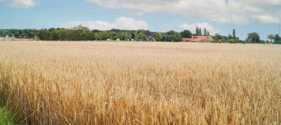 4 غرف نوم بناية في Diepholz, Germany رقم 273491 24