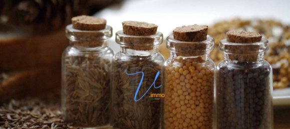 Propiedad comercial de 2 habitaciónes en Rome, Italy No. 112713 18