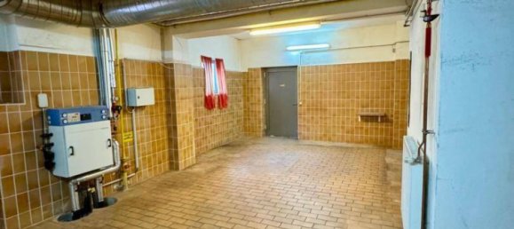 عقار تجاري في Leoben, Austria 234متر مربع رقم 57638 15