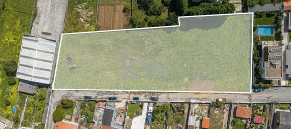 Grundstück in Madalena, Portugal 4996m², Nr. 113644 21