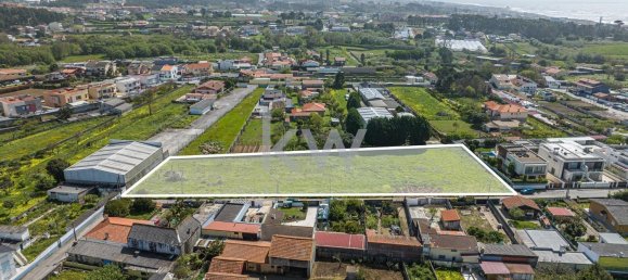 Grundstück in Madalena, Portugal 4996m², Nr. 113644 12