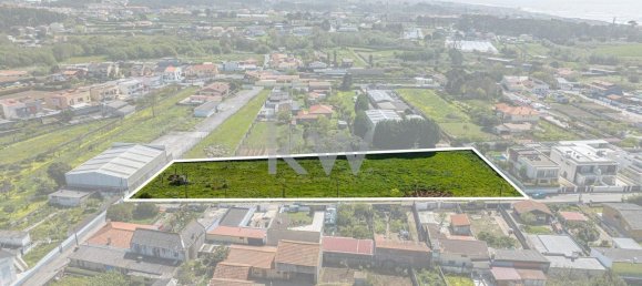 Grundstück in Madalena, Portugal 4996m², Nr. 113644 11