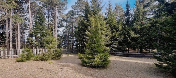 2 rooms House in Hohe Wand, Austria No. 248303 3