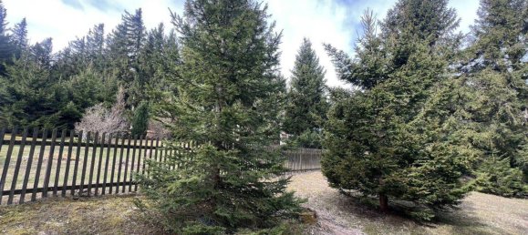 2 rooms House in Hohe Wand, Austria No. 248303 11