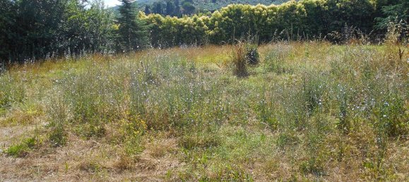 7 Schlafzimmer Wohnung in Cortona, Italy, Nr. 337253 4