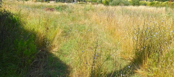 7 Schlafzimmer Wohnung in Cortona, Italy, Nr. 337253 6