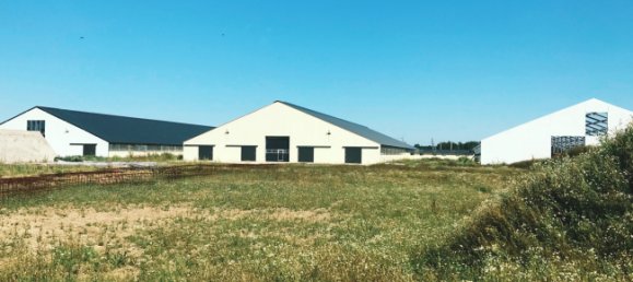 Земельный участок в Оффенбах, Германия № 190076 24