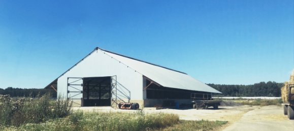 Земельный участок в Оффенбах, Германия № 190076 12