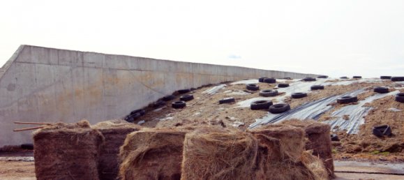 Земельный участок в Оффенбах, Германия № 190076 17