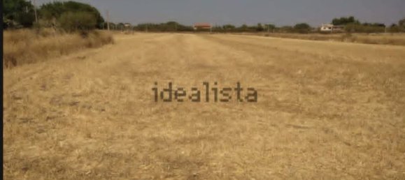  Land in Augusta, Italy No. 372036 2