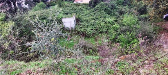 1570m² Land in Rome, Italy No. 277430 5