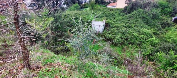 1570m² Land in Rome, Italy No. 277430 4