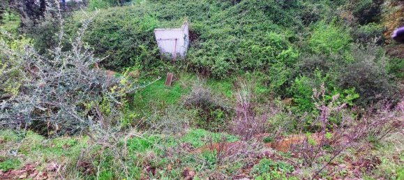 1570m² Land in Rome, Italy No. 277430 3