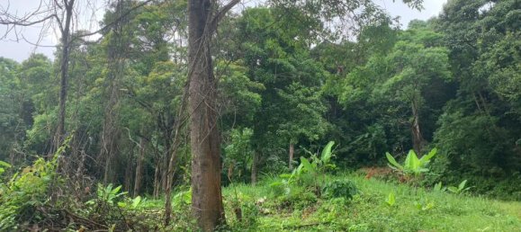 30880m² Commercial property in Khok Kloi, Thailand No. 8283 12