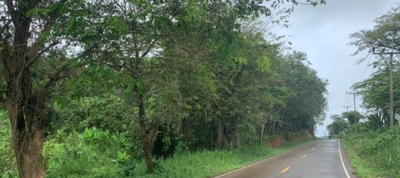 30880m² Commercial property in Khok Kloi, Thailand No. 8283 8