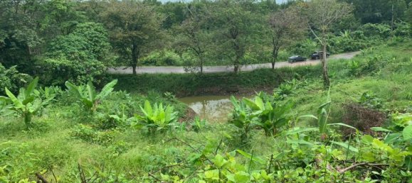 30880m² Commercial property in Khok Kloi, Thailand No. 8283 9