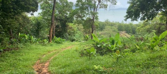 30880m² Commercial property in Khok Kloi, Thailand No. 8283 10