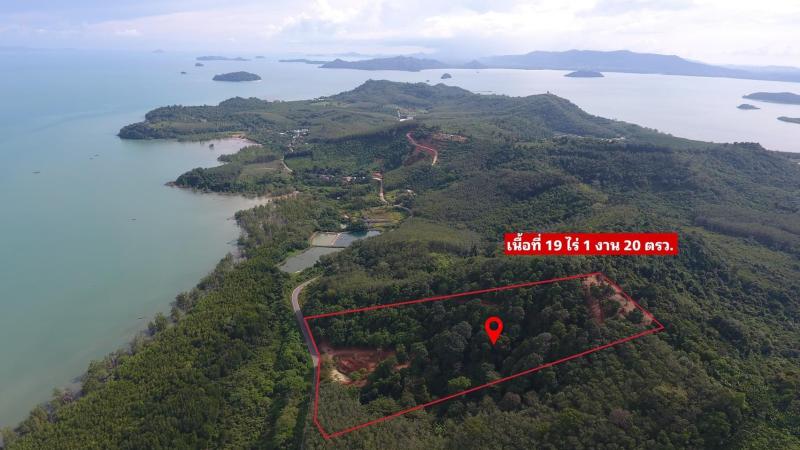 30880m² Commercial property in Khok Kloi, Thailand No. 8283