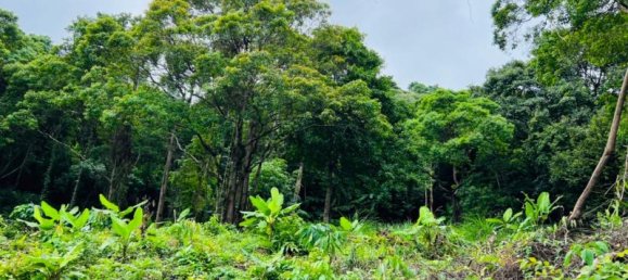 30880m² Commercial property in Khok Kloi, Thailand No. 8283 11