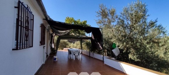 4 bedrooms House in Alcaucin, Spain No. 51507 14