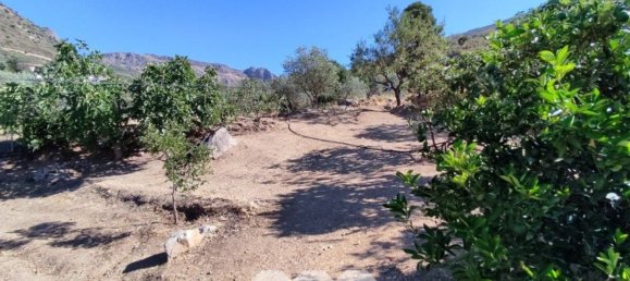 4 bedrooms House in Alcaucin, Spain No. 51507 7