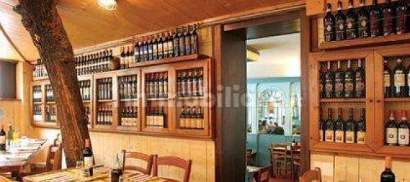 2 rooms Commercial property in Lucca, Italy No. 25692 7