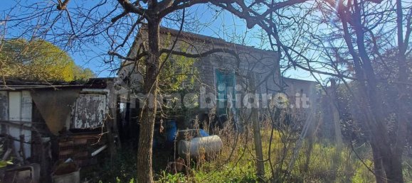 1 Schlafzimmer Haus in Rome, Italy, Nr. 276401 8