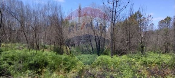 60000m² Land in Vouzela, Portugal No. 42496 11