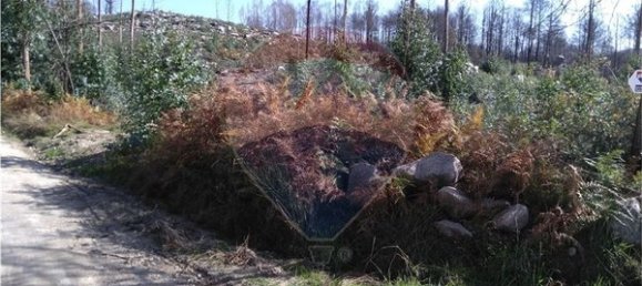 60000m² Land in Vouzela, Portugal No. 42496 7