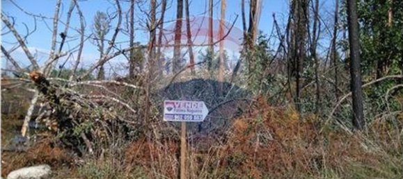 60000m² Land in Vouzela, Portugal No. 42496 4