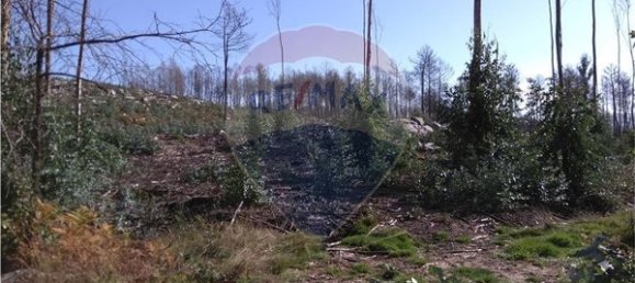 60000m² Land in Vouzela, Portugal No. 42496 5