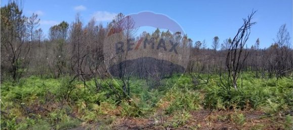 60000m² Land in Vouzela, Portugal No. 42496 8