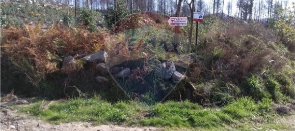 60000m² Land in Vouzela, Portugal No. 42496 6