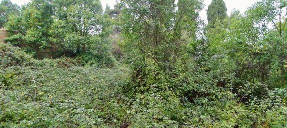 Casa de 15 habitaciónes en San Miniato, Italy No. 130210 4