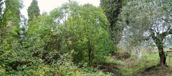 Casa de 15 habitaciónes en San Miniato, Italy No. 130210 5