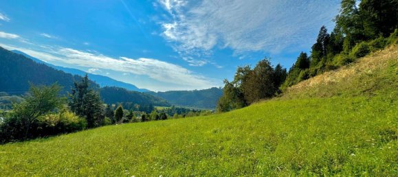 1000m² Land in Frohnleiten, Austria No. 249901 3