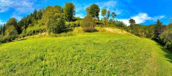 1000m² Land in Frohnleiten, Austria No. 249901 4