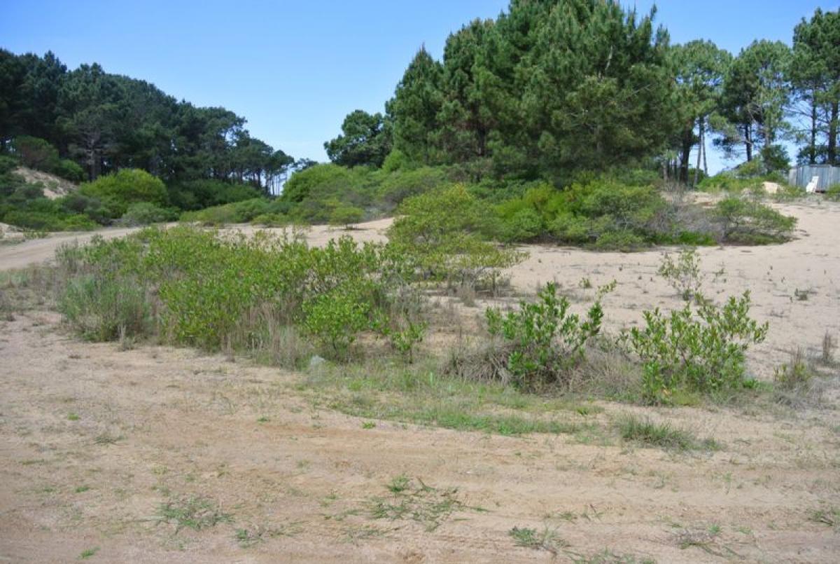  Land in Maldonado, Uruguay No. 14384