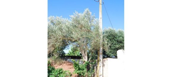 Terreno em São Bartolomeu de Messines, Portugal 1920 m² N.º 38998 17