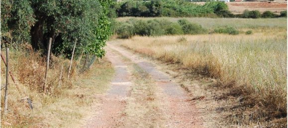 Terreno em São Bartolomeu de Messines, Portugal 1920 m² N.º 38998 6