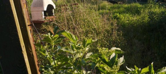 2 Schlafzimmer Stadthaus in Warendorf, Germany, Nr. 323332 4