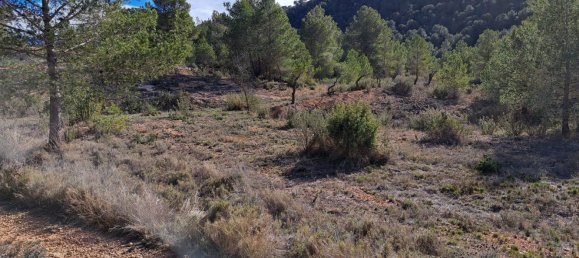  Land in Pinoso, Spain No. 160962 9
